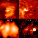 Multi-wavelength images of an active region