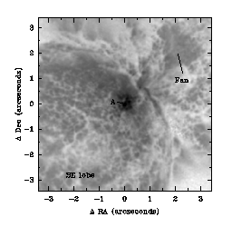 HST image of core ofHomunculus nebula