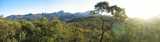 
Panorama from WhiteGum Lookout. 
