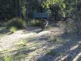 
Kangaroo on trail.
