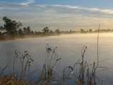 
Water vapor on the lake
