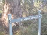 
Eckford's Lookout
