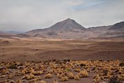 Atacama desert, near San Pedro de Atacama, Chile (2007/12/02)