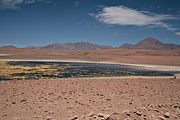 Salt marsh, Atacama desert, near El Taito, Antofagasta region, Chile (2007/12/07)