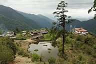 Goechala trek (Day 2: Bakhim to Tshoka), near Yuksom, Sikkim, India (2008/05/20)