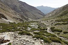 Ganda La base camp, Hemis National Park, Ladakh, India (2012/07/29)