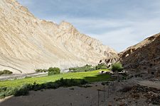 Sara homestead, Hemis National Park, Ladakh, India (2012/08/01)