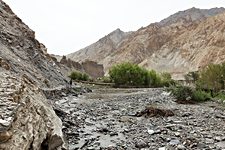 Markha outskirts, Hemis National Park, Ladakh, India (2012/08/01)
