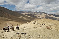 Trail to Nimaling, Hemis National Park, Ladakh, India (2012/08/03)