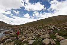Trail to Dzo Jongo base camp, Hemis National Park, Ladakh, India (2012/08/04)