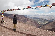 Uma at Gongmaru La, Hemis National Park, Ladakh, India (2012/08/06)