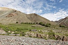Chogdo, Hemis National Park, Ladakh, India (2012/08/07)
