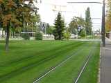 
The neatly maintained grassy areas for the trams
