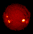 Radio image of the Sun