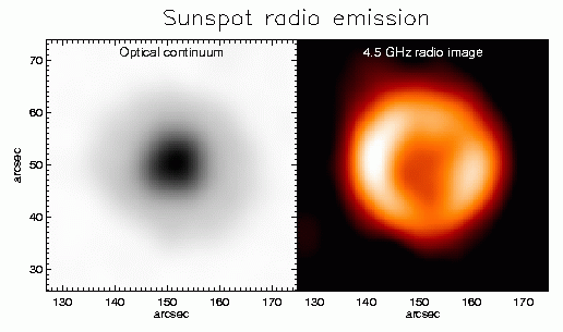 Radio and optical
images of a sunspot