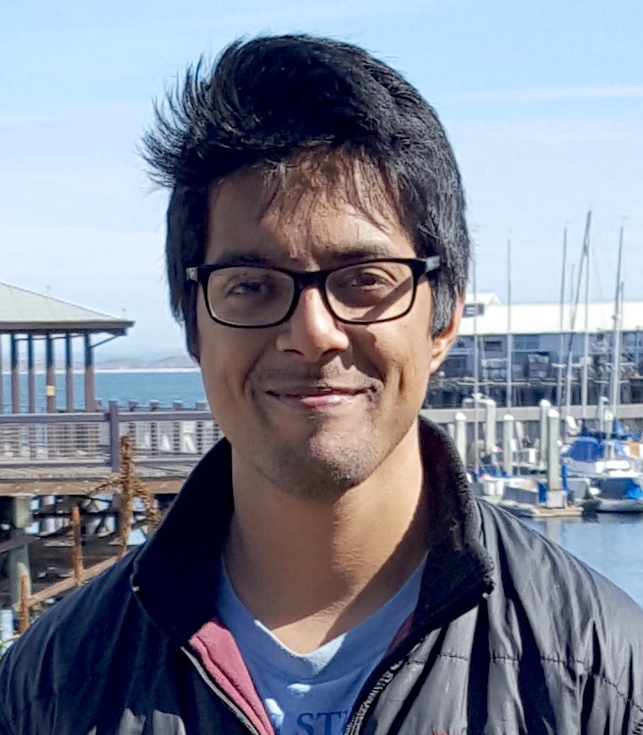 Sumit K. Sarbadhicary