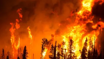Wildfire Experts Provide Guidance for New Research Directions