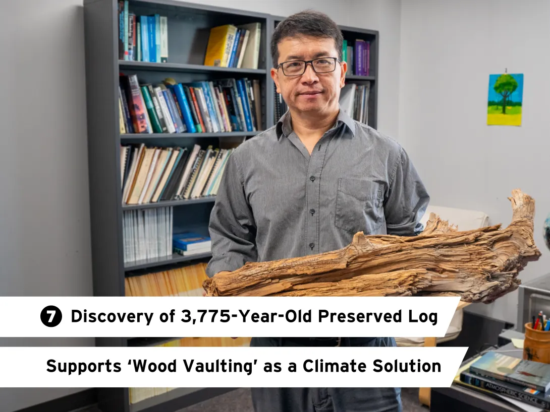 7. Discovery of 3,775-Year-Old Preserved Log Supports ‘Wood Vaulting’ as a Climate Solution