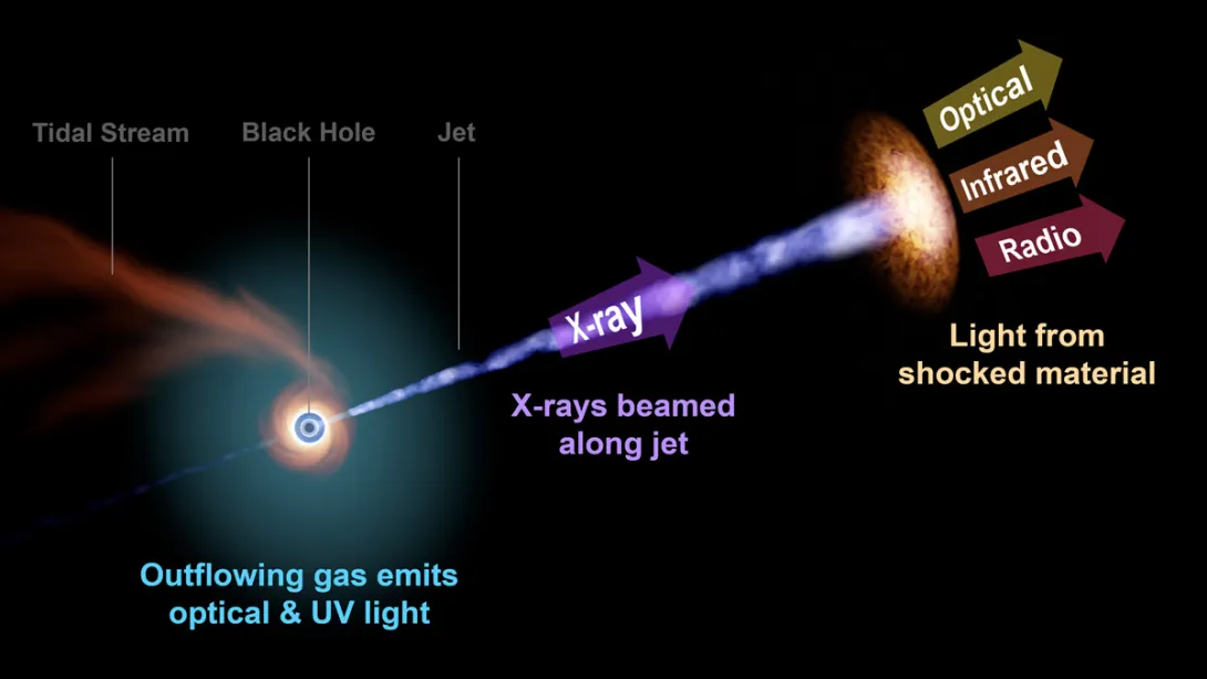 TDE diagram labeled