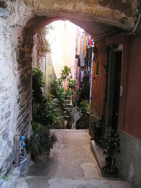 P6181597.JPG - The streets of Vernazza