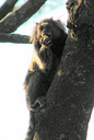Slide 29
