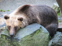 20060822_2424.JPG Slide 87