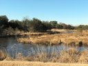 Chincoteague National Wildlife Refuge. Slide 1