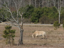 20060304_0725.JPG Slide 8