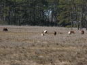 20060304_0750.JPG Slide 11