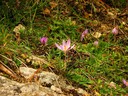 IMG_6733.JPG Slide 110