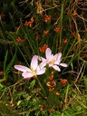 IMG_6736.JPG Slide 111