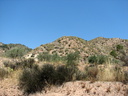 6/30/07, Montnegre (near Alicante). More arid landscape. Slide 30