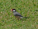 Slide 8