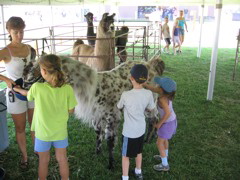 IMG_0918.JPG
