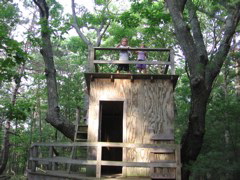 IMG_0965.JPG