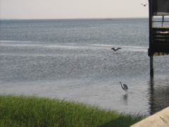 IMG_0575.JPG