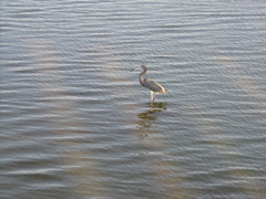 IMG_0579.JPG
