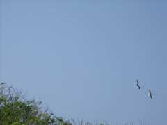 IMG_0505.JPG