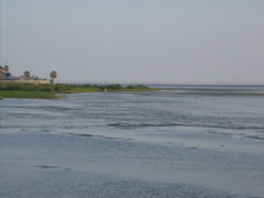 IMG_0589.JPG