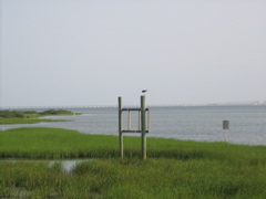 IMG_0527.JPG