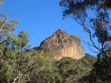 
Cliff Face, Mt. Kaputar National Park
