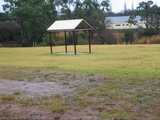 
Pigeons in the Park
