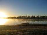 
Ducks at Dawn

