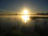 
Sunrise over lake
