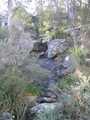 
Dawson's Spring
