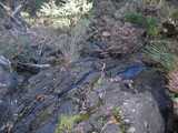 
Other side of Dawson's Spring
