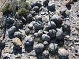 
Aboriginal Stone Arrangment.
