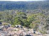 
Another view from Lindsay Rock Tops.
