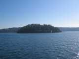 
Island in the Harbor
