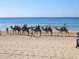 
Caravan
